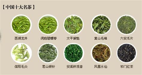 中國十大名茶 辦公室水耕植物風水